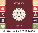 Smiler, vector design element 