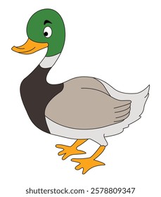 A smiles duck vector illustration