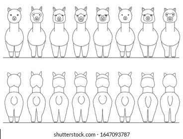 smiling alpacas border set, front and back