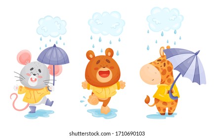 Smiling Animals Wearing Coat Walking in Rainy Day with Umbrella Vector Set