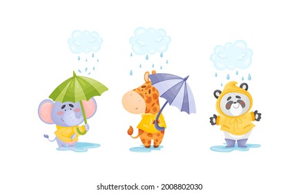 Smiling Animals Wearing Coat Walking on Puddles in Rainy Day with Umbrella Vector Set