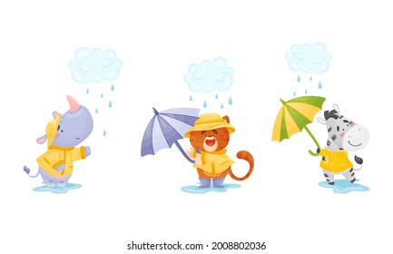 Smiling Animals Wearing Coat Walking on Puddles in Rainy Day with Umbrella Vector Set