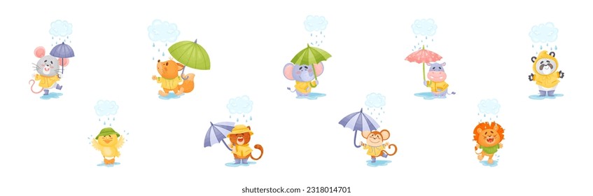 Smiling Animals Wearing Coat Walking on Puddles in Rainy Day with Umbrella Vector Set