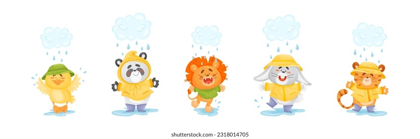 Smiling Animals Wearing Coat Walking on Puddles in Rainy Day Vector Set