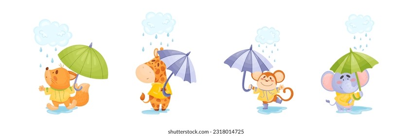 Smiling Animals Wearing Coat Walking on Puddles in Rainy Day with Umbrella Vector Set