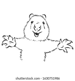 Smiling australian kwokka, vector sketch illustration 
