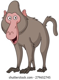 Smiling baboon