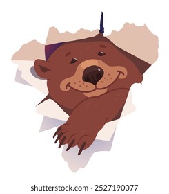 Oso sonriente que rasga el agujero en el fondo de papel. Personaje de dibujos animados de animales lindos mirando a través de papel rasgado rasgado. Ilustración vectorial plana de Plantilla de cartel de concepto sorpresa