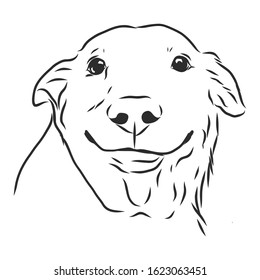 Smiling beauty cute dog, vector sketch 