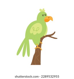 Smiling bird with beak over white