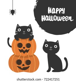 Smiling black cats with a orange pumpkin and a spider. Cute Halloween vector illustration