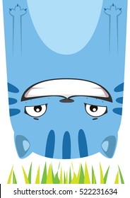 smiling blue cat upside down on the green grass. Cheshire cat