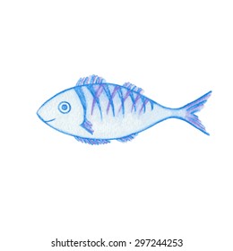 Smiling blue and violet dorado fish watercolor pencils drawing