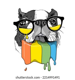 Smiling Boston Terrier dog in glasses. Grime art. Doodled upon with drooping, cartoonish drops of slimy flesh in vibrant colours. Rainbow. Humor card, hand drawn style. Vector illustration.