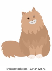 The Smiling Brown Fluffy Cat