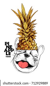 Smiling Bulldog in a gold Pineapple crown. Vector illustration.