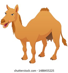 Smiling cartoon camel isolated on white background.