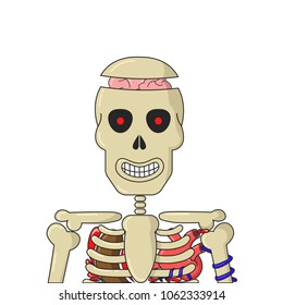 Smiling cartoon skeleton with organs