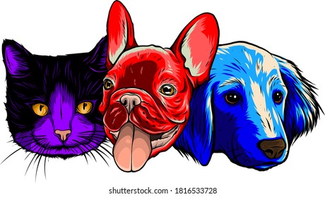 smiling cat and dog vector illustration graphics