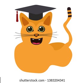 Smiling cat with graduation hat - isolated on white
