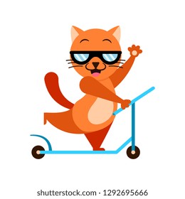 Smiling cat with sunglasses on  scooter
