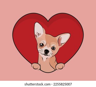 Smiling Chihuahua dog hanging with paws in a big Valentine's day heart. Love heart with pet head and heart and footprint. Dog face Holding Pink Heart Cartoon Icon. St Valentine's day for dog funs.
