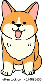 
A smiling corgi seen from the front