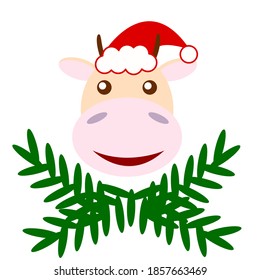 Smiling cow head in red cap and green fir-tree branches. Symbol of new year 2021. Cartoon character. Flat style. Cute and funny. For postcards, posters, prints, textile, nursery, children design