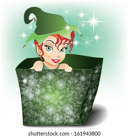 Smiling and Cute Elf in a Parcel