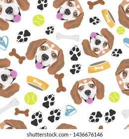 Smiling Dog Beagle with dog stuff
