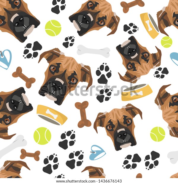 boxer stuff