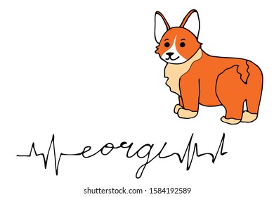 Smiling dog with cardiogram ,, Corgi "text written in solid line. Abstract line text, hand drawn doodle. Vector illustration. White isolated background.