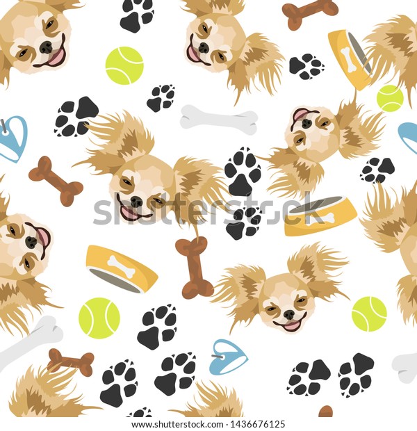 chihuahua stuff