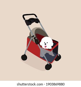 Smiling dog, cute white toy poodle  sitting in a pet stroller