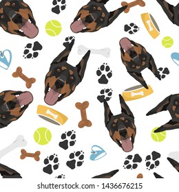 Smiling Dog Doberman with dog stuff
