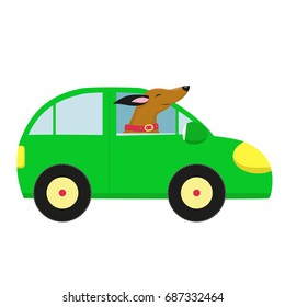 A smiling dog in a green car