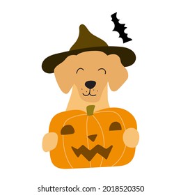 Smiling dog holding pumpkin for Halloween party. Illustration on white background.