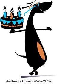 Smiling dog holds a holiday cake illustration. 
Funny dachshund holds a holiday cake decorated with candles isolated on white
