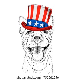 A smiling dog  in old American hat with a flag. National Symbols of the USA. Vector illustration 