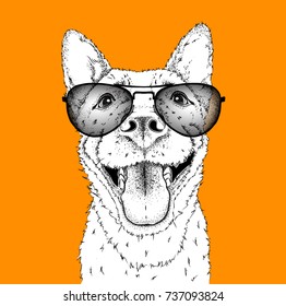 A smiling dog in sunglasses. Vector illustration