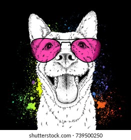 A smiling dog in sunglasses. Vector illustration