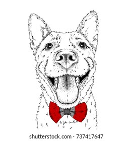 A smiling dog  in a tie. Vector illustration