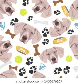 Smiling Dog Weimaraner with dog stuff
