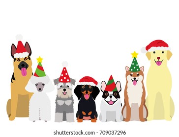 smiling dogs with Christmas party hat