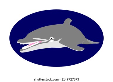 Smiling dolphin vector illustration isolated on blue background.