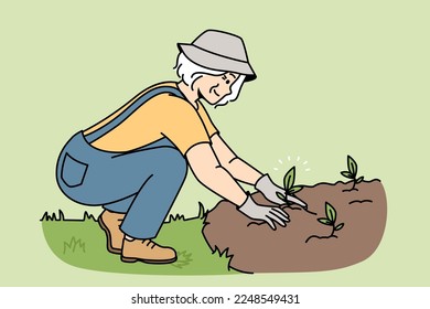 Smiling elderly woman plant seedlings in ground. Happy mature female gardener engaged in horticulture outdoors. Gardening and hobby. Vector illustration. 