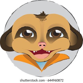 Smiling face of meerkat boy.