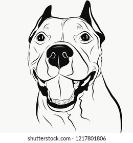 Smiling face of staffordshire terrier