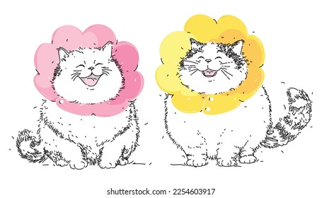 Smiling fat Cat in cone collar. Two white laughing kittens are wrapped in Elizabethan collar. Protection from licking for pet after treatment. Cone of shame. Veterinary concept, pet treatment and care