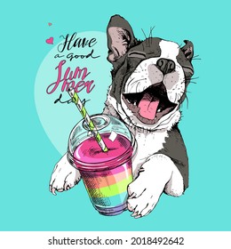 Smiling funny Boston Terrier with the rainbow Smoothie cocktail. Humor card, t-shirt composition, hand drawn style print. Vector illustration.